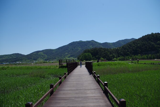3-Day Korea Western course by K-shuttle Tour from Seoul to Busan - Who will get the most from this tour?