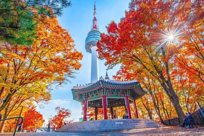 7 days Flexible Tour for Major Cities(Seoul,Busan,Gyeongju etc) - Day 2: Seoul views, Gangnam, and the Han River at night