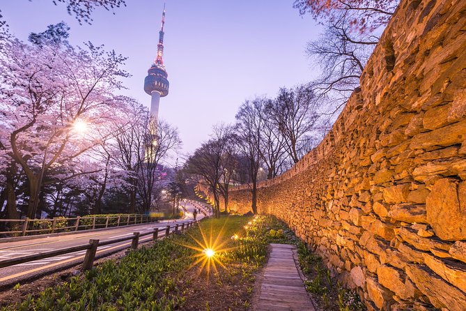 Afternoon Seoul: Hanok Vibes, Netflix Street Food & N Seoul Tower - Timing, pickup, and practical planning