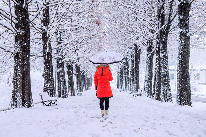All Day Private Make your own plan tour to Nami Island and others - Gangchon Rail Park for an active outing