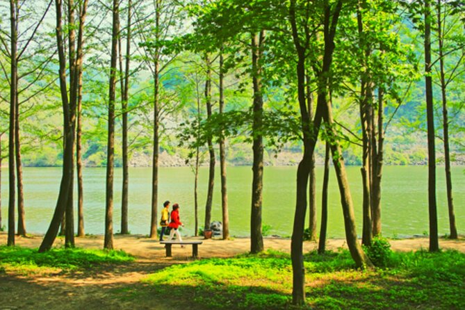 Alpaca World and Nami Island with Gangchon Rail Bike Tour - One day, three very different moods