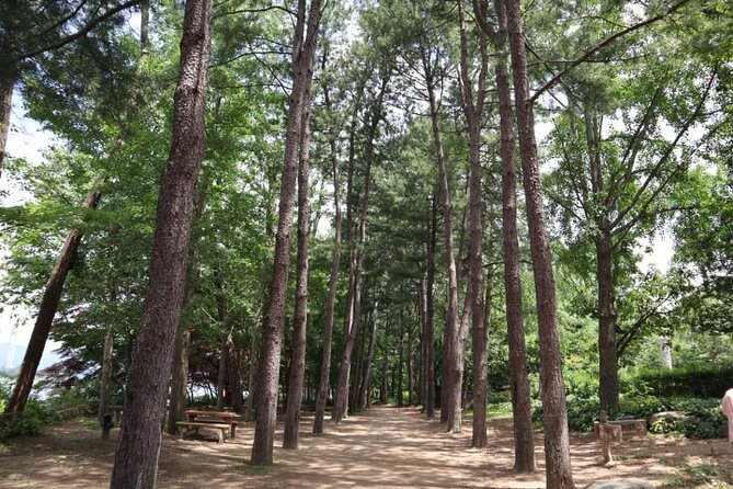 Alpaca World and Nami Island with Gangchon Rail Bike Tour - Gangchon Rail Park and the ride on old tracks