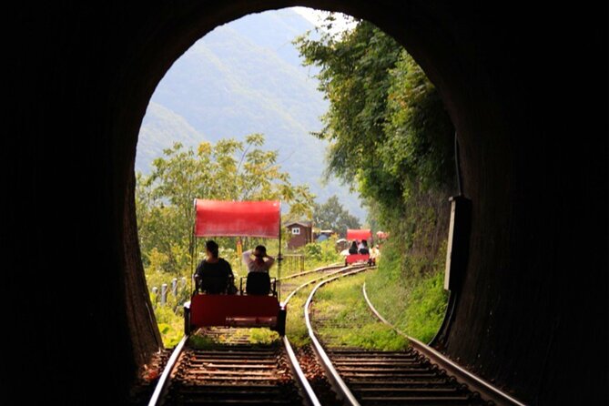 Alpaca World and Nami Island with Gangchon Rail Bike Tour - How the long drives affect the day