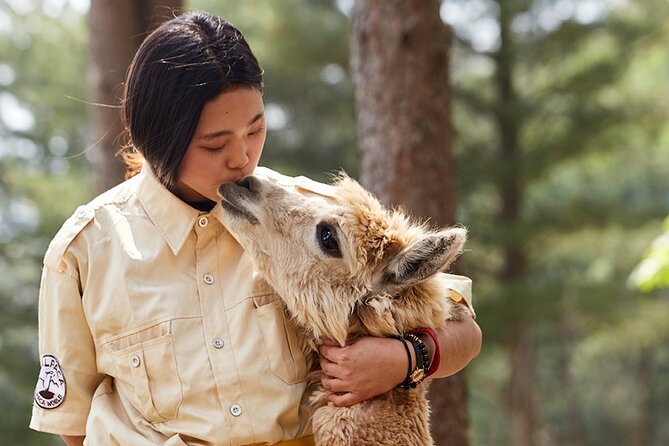 Alpaca World & Nami Island & Garden of Morning Calm One Day Tour - Why this Seoul day trip works