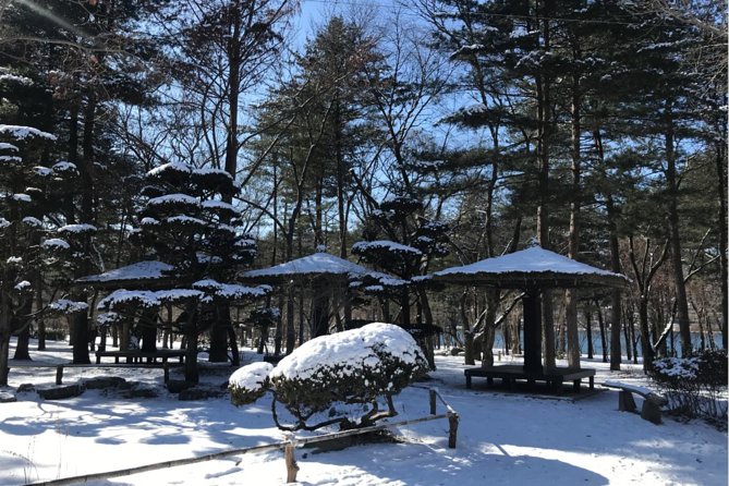 Alpaca World & Nami Island & Garden of Morning Calm One Day Tour - The Garden of Morning Calm as a final pause