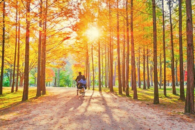 Alpaca World & Nami Island & Garden of Morning Calm One Day Tour - Food, timing, and what to carry