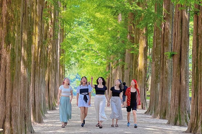 Alpaca World & Nami Island & Garden of Morning Calm One Day Tour - Who should book this experience?
