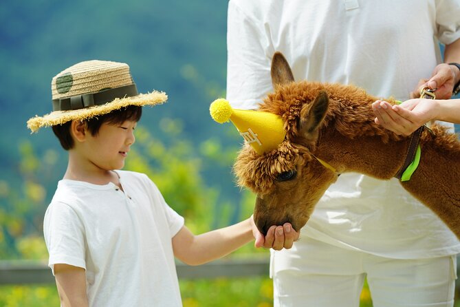 Alpaca World Tour with Nami Island (optional Railbike or Garden) - Alpaca World gives you the most personal animal encounter