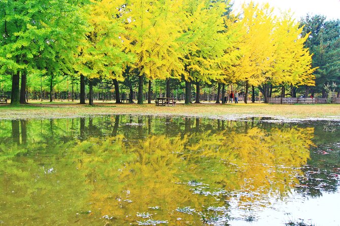 Alpaca World Tour with Nami Island (optional Railbike or Garden) - The Stay Healing Park brings a winter light finish