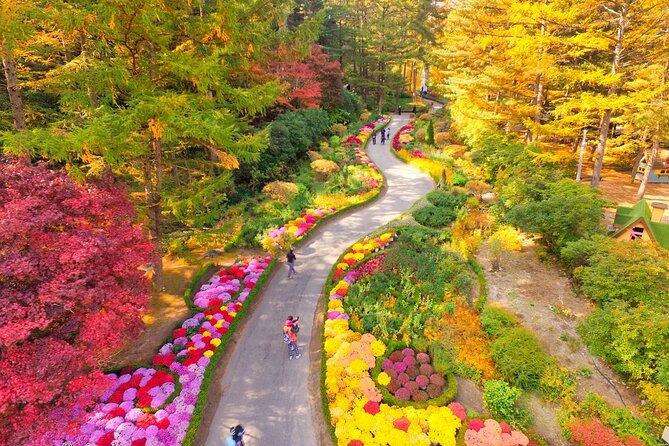 Alpaca World Tour with Nami Island (optional Railbike or Garden) - Pick the package that matches your energy