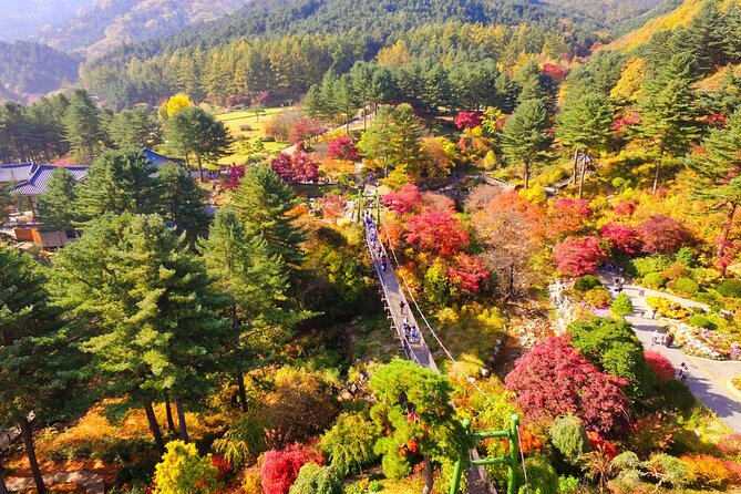 Alpaca World Tour with Nami Island (optional Railbike or Garden) - Transport is convenient, but road time is the price