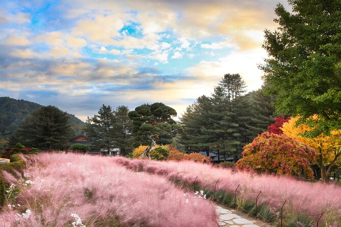 Alpaca World Tour with Nami Island (optional Railbike or Garden) - Guides can make or break a packed schedule
