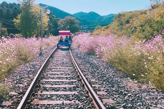 Alpaca World with Gangchon Rail Park One Day Tour - Fitness, clothing, and activity rules