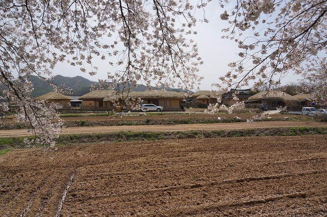 Andong Hahoe Folk Village [UNESCO World Heritage] Private Tour from Seoul - Byeongsan Seowon and Korea’s Confucian tradition