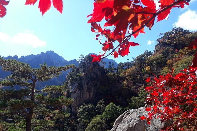 Autumn Foliage-Mt. Seorak, Sokcho Fish Market, Sokcho Beach - Why this day trip works for autumn in Korea