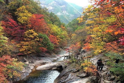 Autumn Foliage-Mt. Seorak, Sokcho Fish Market, Sokcho Beach