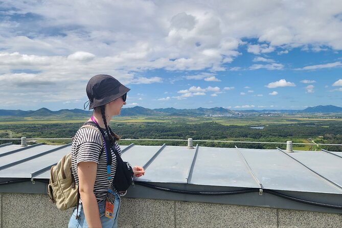 Best DMZ Tour Korea from Seoul (Red Suspension Bridge Optional) - DMZ Theater and Exhibition Hall: facts before the border view