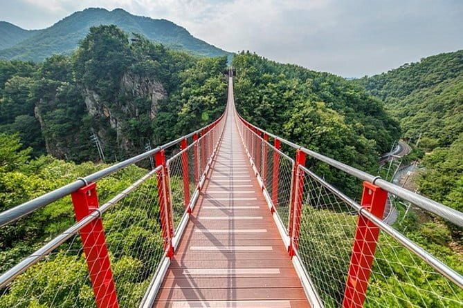Beyond Seoul: Starfield Library, Hwaseong Fortress & Cave Quest - Who should book this outing