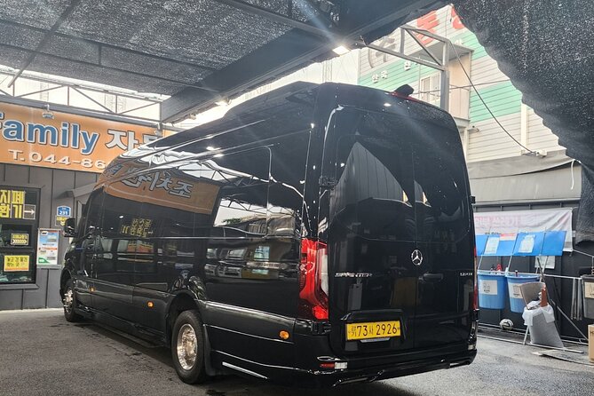Customizable Private Seoul Tour in luxury van for VIP - The suggested 11-stop route needs editing