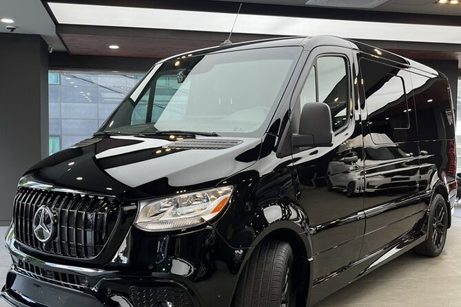 Customizable Private Seoul Tour in luxury van for VIP - A guide adds the most value when you ask questions