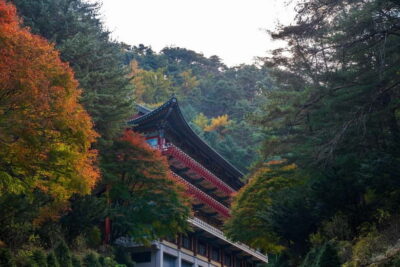 Danyang Tour:Guinsa Temple & Bobaljae & Cheongpung Cable Car