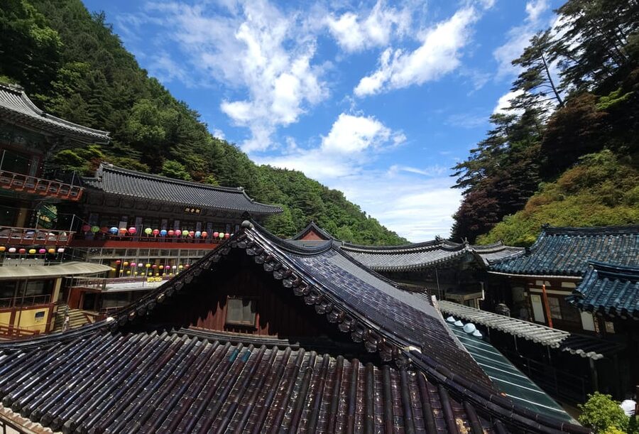 Danyang Tour:Guinsa Temple & Bobaljae & Cheongpung Cable Car - Cheongpung Cable Car gives the day its big finish