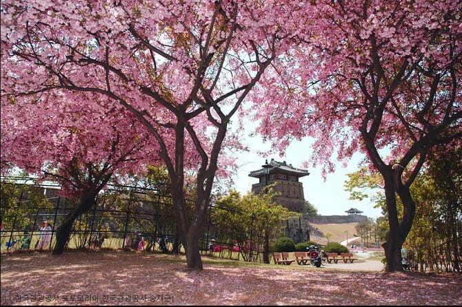 Day Tour of Suwon Hwaseong Fortress Starfield Waujeongsa Temple - What the $54.95 price really covers