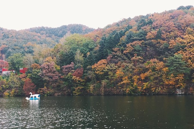Day Tour to Gangchon Rail Bike Nami Island and Petite France - Starting from your Seoul hotel