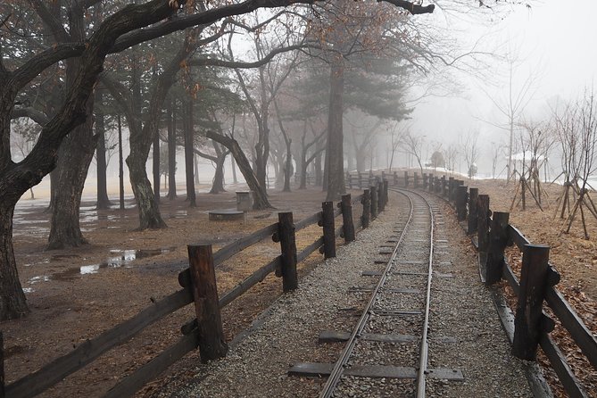 Day Tour to Gangchon Rail Bike Nami Island and Petite France - Seeing Petite France in one compact hour
