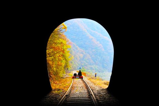 Day Tour to Gangchon Rail Bike Nami Island and Petite France - Who should book this day trip?