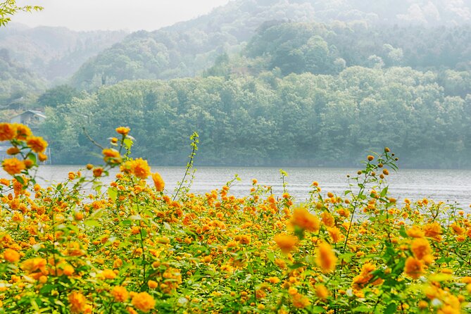 Day Trip to Nami Island with Rail bike and The Garden of Morning Calm - Gangchon Rail Bike Park: the day’s most unusual activity