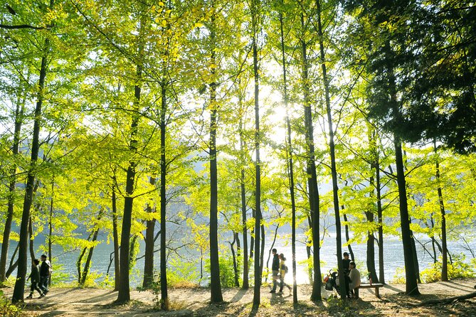 Day Trip to Nami Island with Rail bike and The Garden of Morning Calm - How the schedule feels over 11 to 12 hours