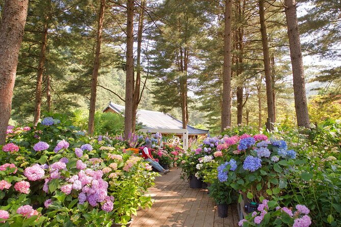 Day Trip to Nami Island with Rail bike and The Garden of Morning Calm - Guides and group style