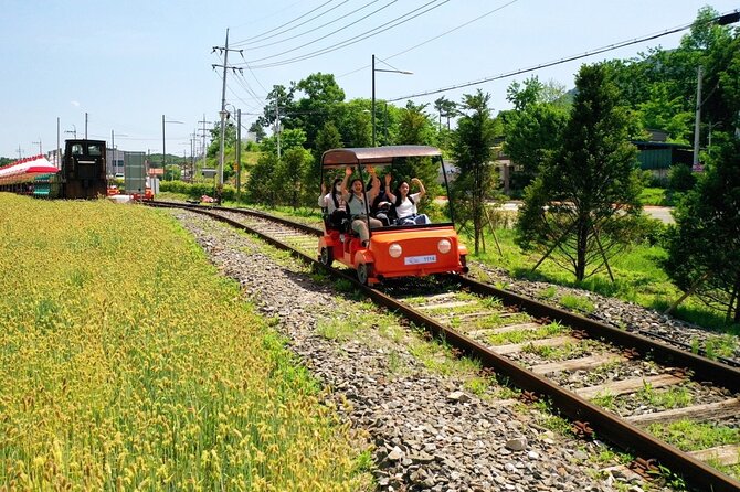 Day Trip to Nami Island with Rail bike and The Garden of Morning Calm - The Garden of Morning Calm: give the first 90 minutes your full attention