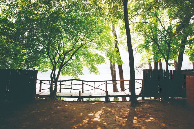 Day Trip to Nami Island with The Garden of Morning Calm - A guide-led tour, but with plenty of free time
