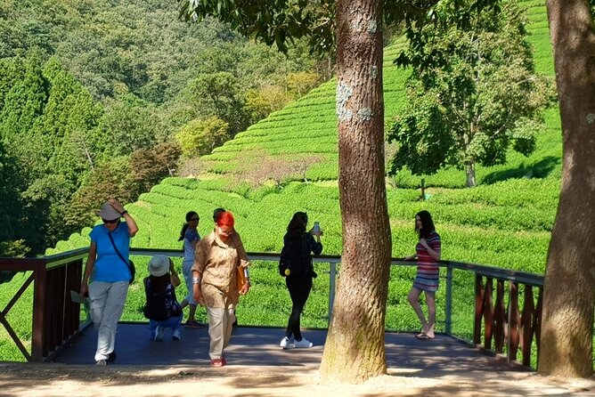 Discover Western Korea in 4days: All-Inclusive Experience - Transport, group size, and daily effort