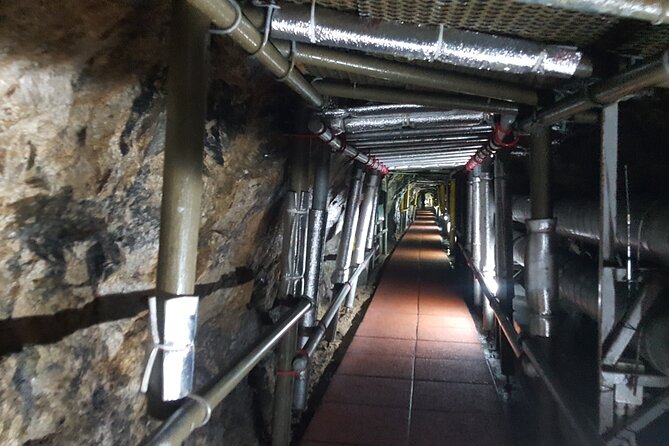 DMZ Guided tour from Seoul with Suspension Bridge or Gondola - Why the DMZ feels different from a normal day tour