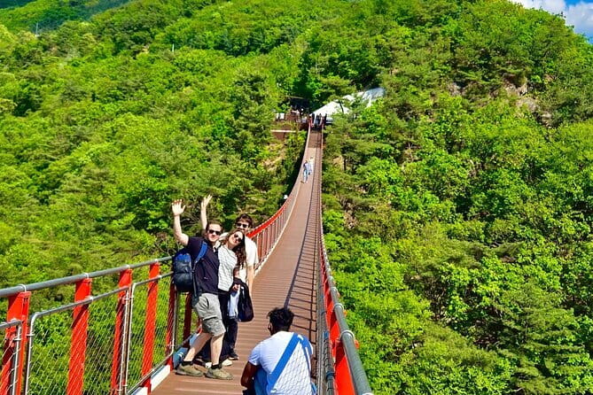 DMZ Guided Tour & Suspension Bridge / North Korean Defector - Unification Village and the meaning of the border