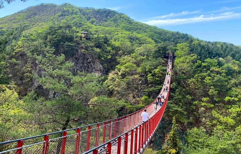 DMZ; NK Defector, 3rd Tunnel, Suspension Bridge,Hotel pickup - Why the DMZ feels different from a normal day trip