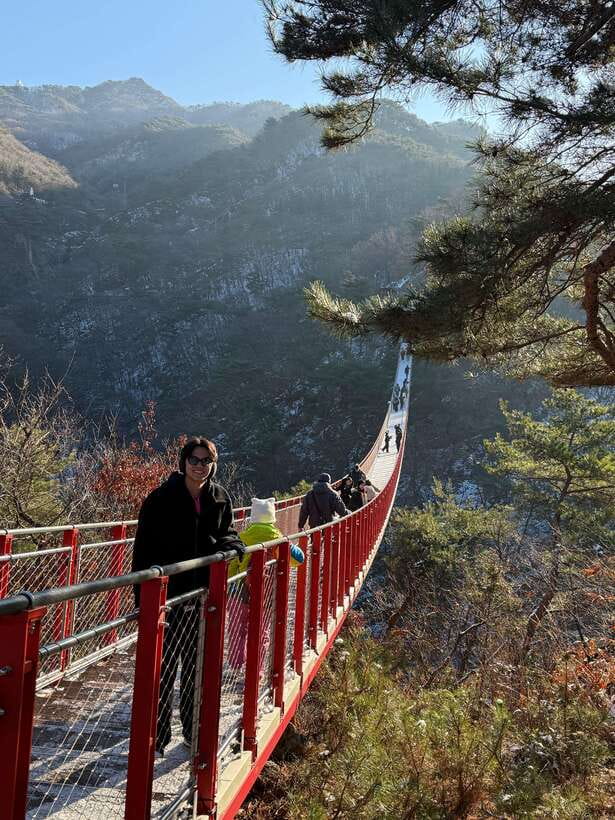DMZ; NK Defector, 3rd Tunnel, Suspension Bridge,Hotel pickup - Unification Village and the changing border