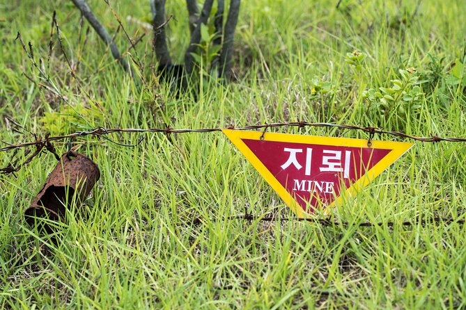 DMZ One Day Tour in Gyeonggi-do with English or Spanish - Dora Observatory: looking across the Demilitarized Zone