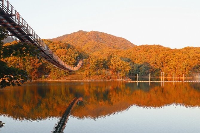 DMZ Private Tour: 3rd Tunnel, Option(Suspension Bridge, Boat) - Dorasan Station and the wider DMZ story