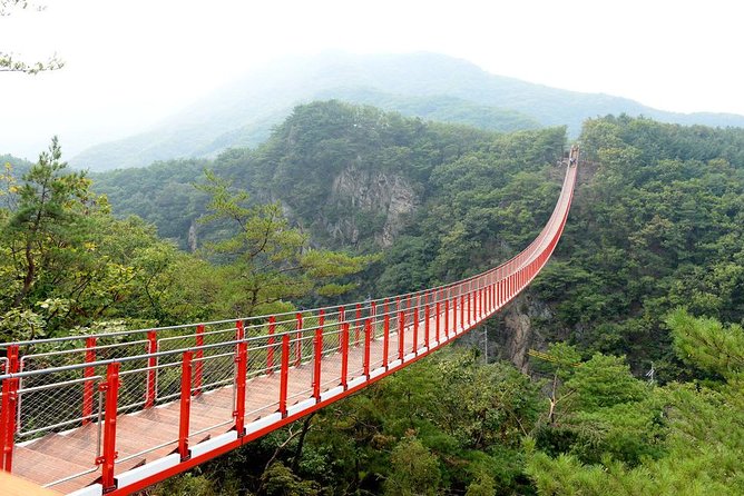 DMZ Tour: 3rd Tunnel, Option(Suspension Bridge, Boat) from Seoul - Dora Observatory and the view into North Korea