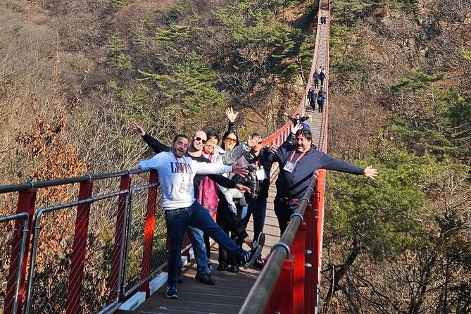 DMZ Tour from Seoul – Optional Suspension Bridge Experience - Dorasan Station is closed, and that changes the route