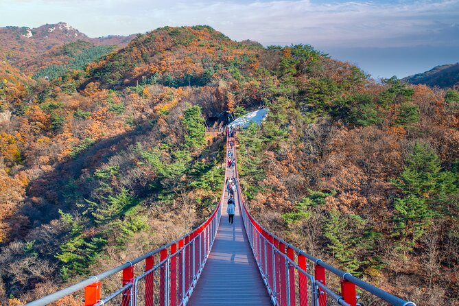DMZ Tour Seoul to North Korea's 3rd Tunnel & Majang Lake Crossing - What this DMZ day trip actually gives you