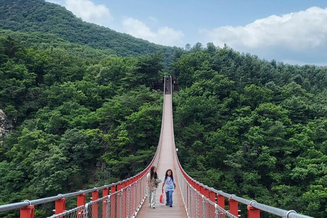 DMZ Tour Seoul to North Korea's 3rd Tunnel & Majang Lake Crossing - Dora Observatory is the visual high point