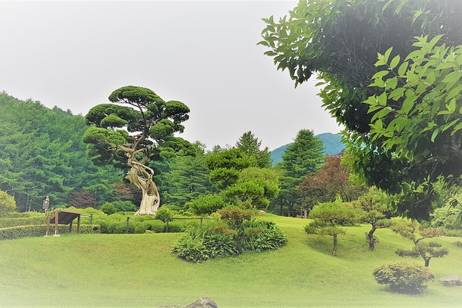 Easy private tour to Nami Island, Garden of Morning Calm - Timing, crowds, and the best use of your day