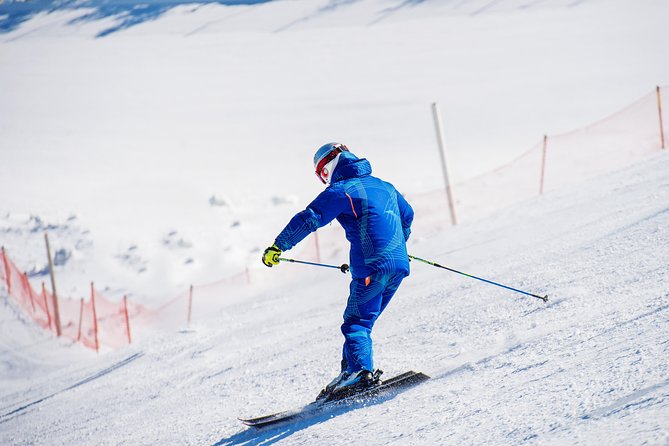 Elysian Gangchon Winter Ski with Nami Island Day Tour from Seoul - Why this Seoul day trip works