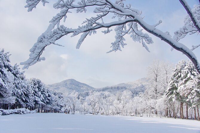 Elysian Gangchon Winter Ski with Nami Island Day Tour from Seoul - The waiting issue for non-skiers