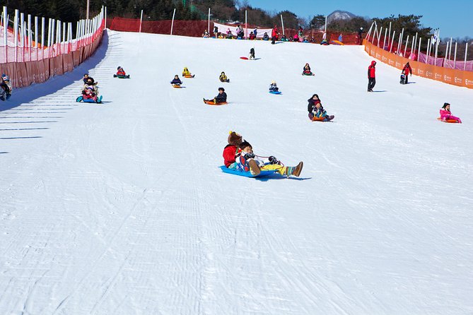 Elysian Gangchon Winter Ski with Nami Island Day Tour from Seoul - Transport, group size, and the long-day reality